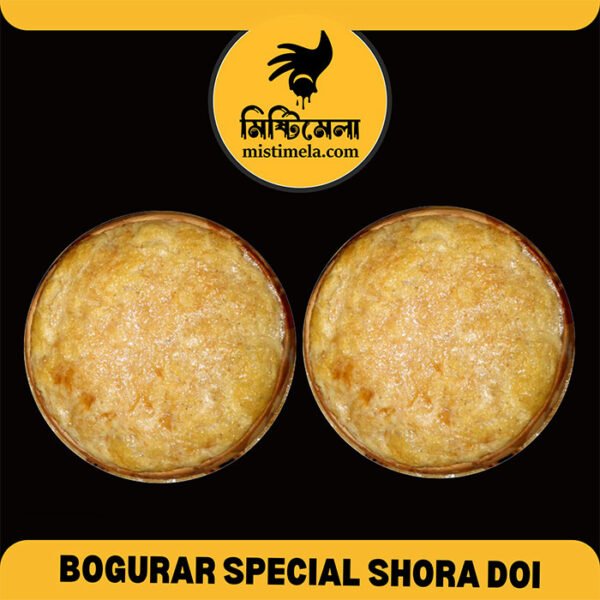 2-Pcs-Bogurar-Special-Shora-Doi-Best-Sweets-Shop-in-Dhaka-BD-2-Pieces